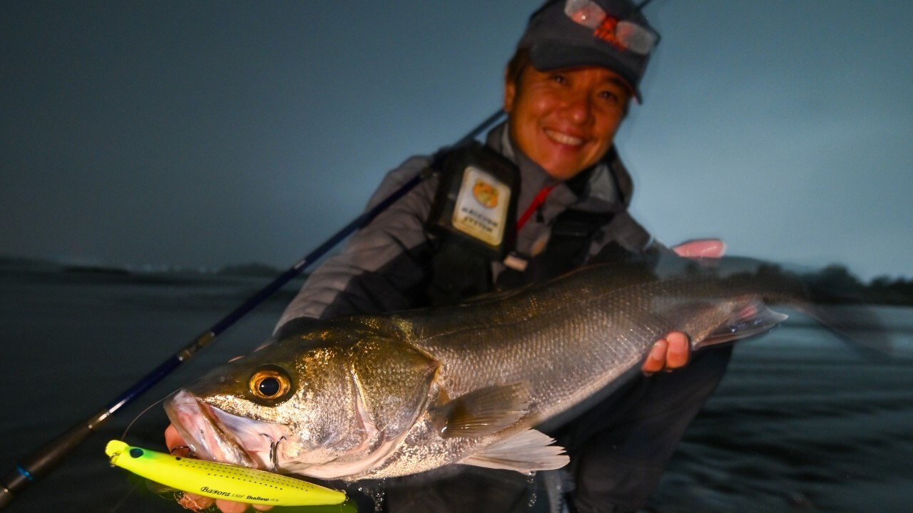 落ちアユシーバス考【釣果を分ける“魚の動向”の読み方と、“ルアーの